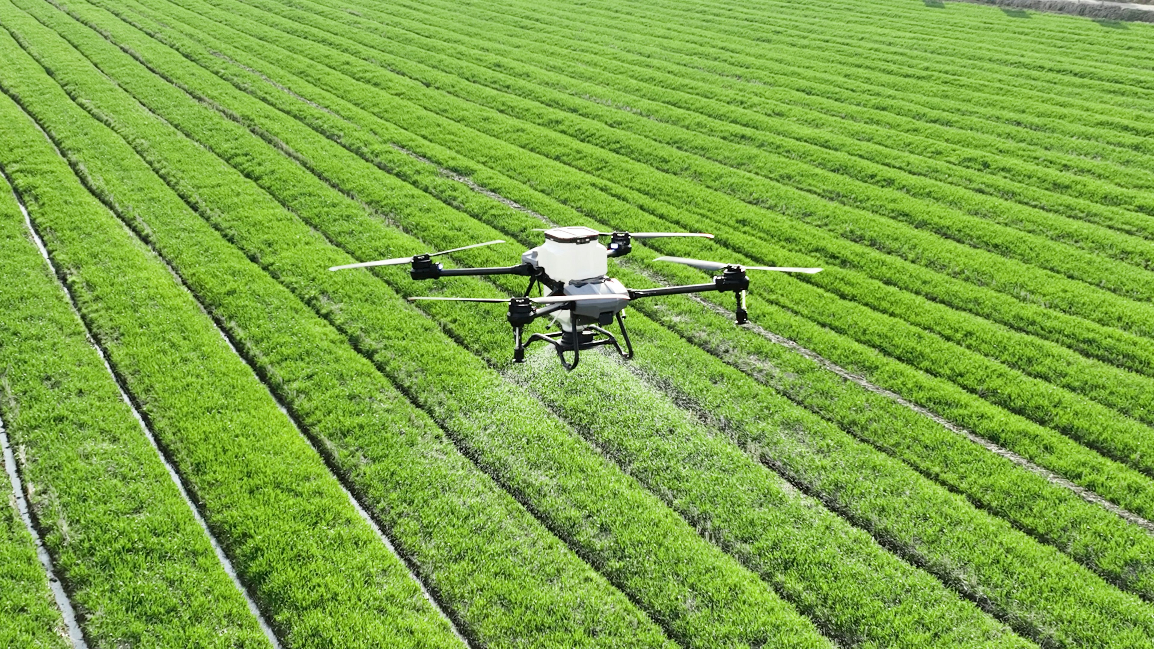 A drone surveying a South African crop field